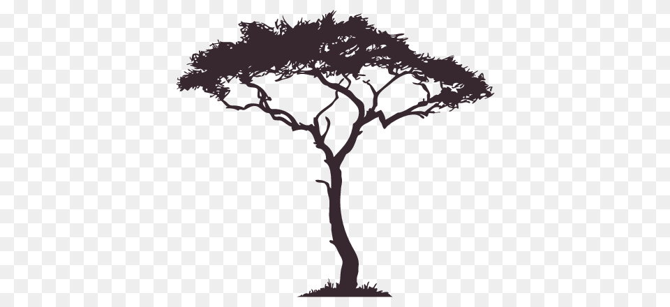 Image Result For South African Tree Drawings Tattoos, Plant, Silhouette, Art, Drawing Free Transparent Png