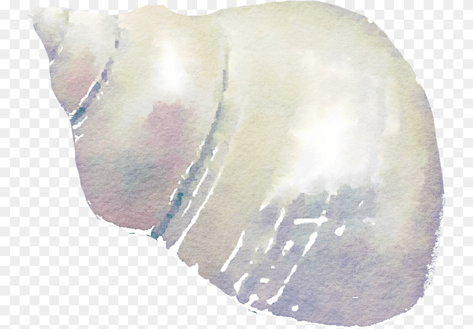 Result For Watercolor Images Watercolor Painting, Seashell, Sea Life, Invertebrate, Animal Png Image