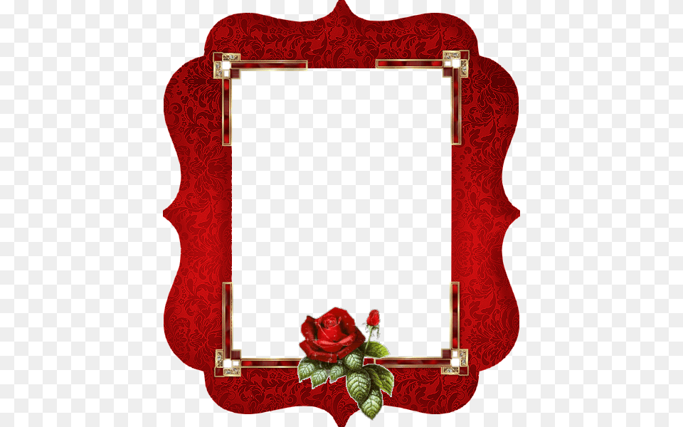 Image Roses Image Frame, Flower, Plant, Rose Free Png