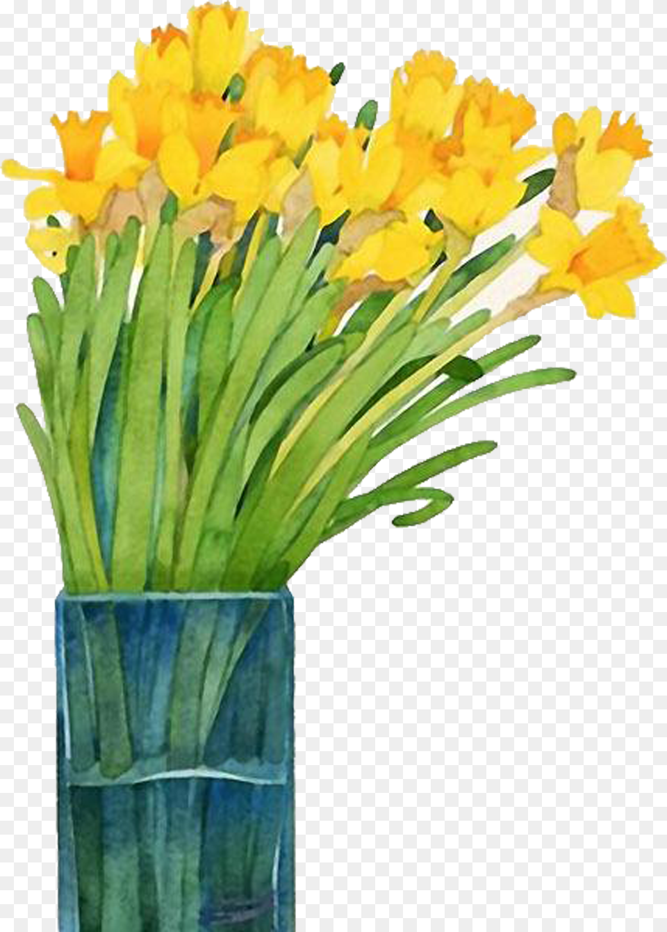 Image Royalty Library Daffodils Drawing Watercolor Narcissus Painting In Watercolor Free Png
