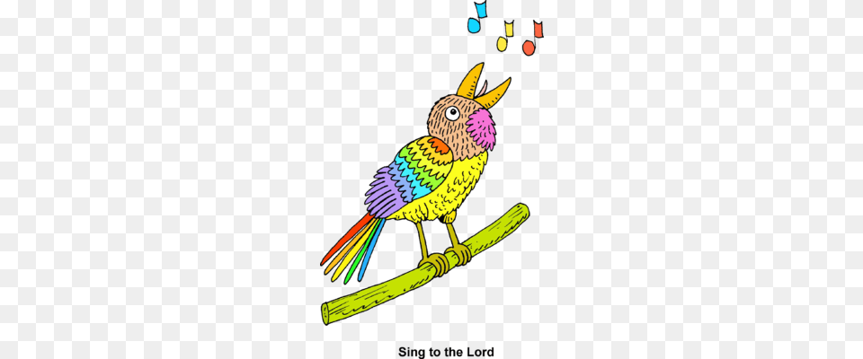 Image Singing Bird, Animal, Beak, Jay Png