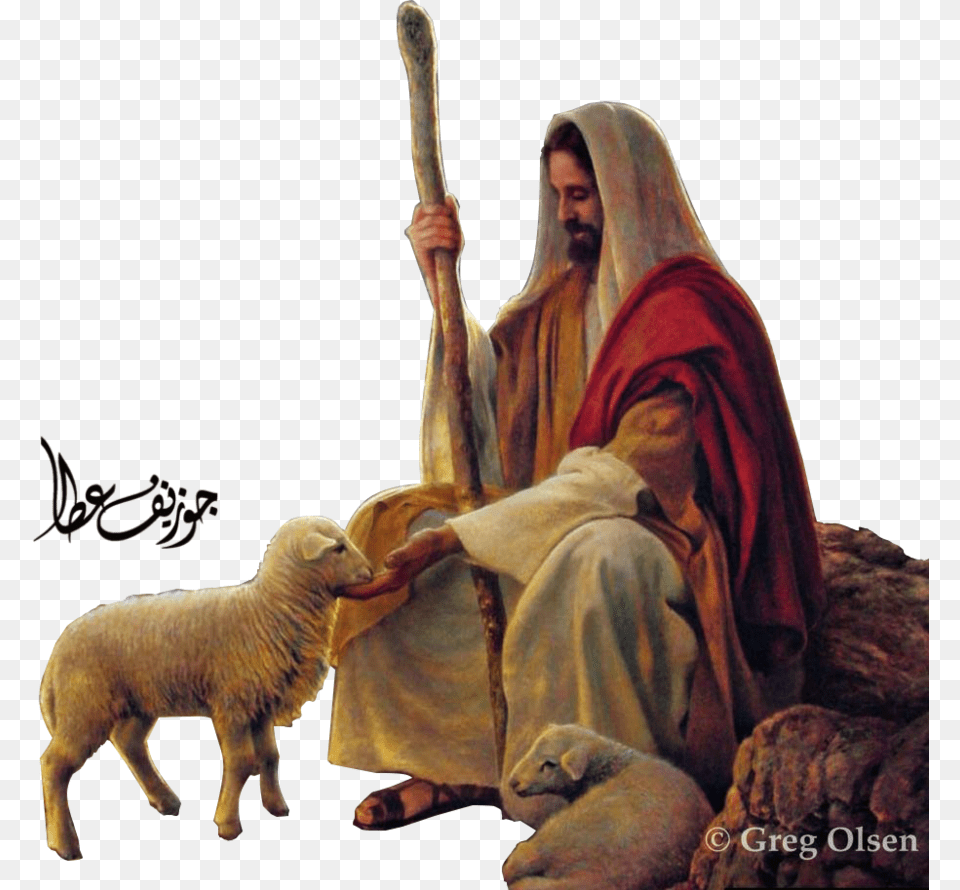 Image Stock Jesus Good Shepherd Clipart Seek And You Shall Find Jesus, Adult, Person, Woman, Female Free Transparent Png