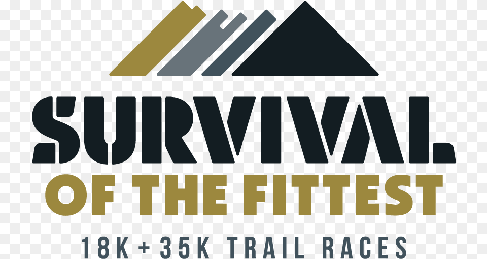Survival Of The Fittest Race, Advertisement, Book, Poster, Publication Png Image