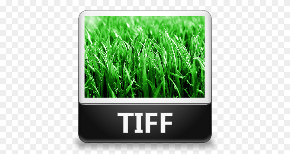 Image Tiff Icon, Grass, Lawn, Plant, Vegetation Png