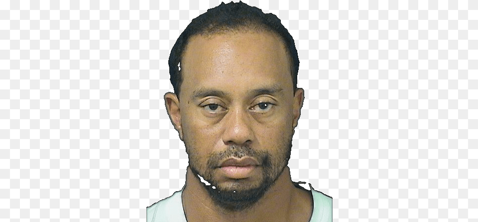 Image Tiger Woods Drunk Driving, Portrait, Photography, Face, Head Free Png