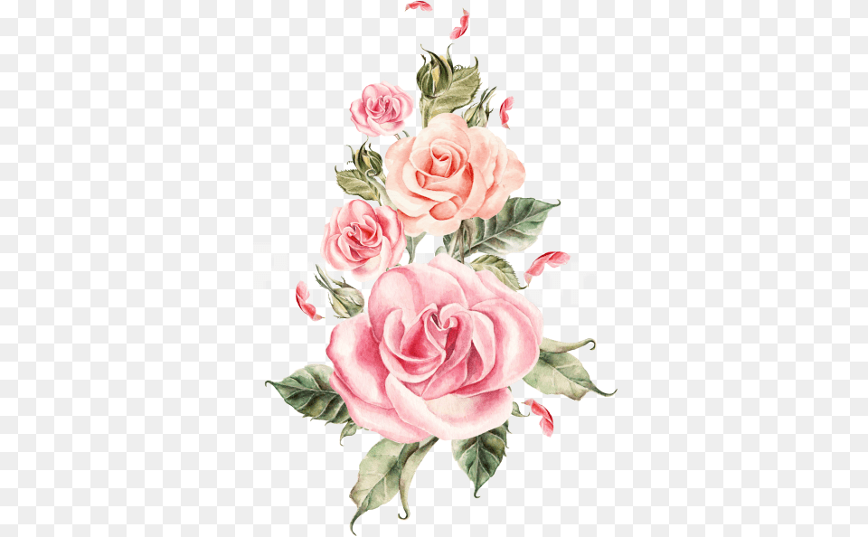 Transparent Background Vintage Flower Pink Roses Transparent Background, Art, Flower Arrangement, Flower Bouquet, Graphics Png Image