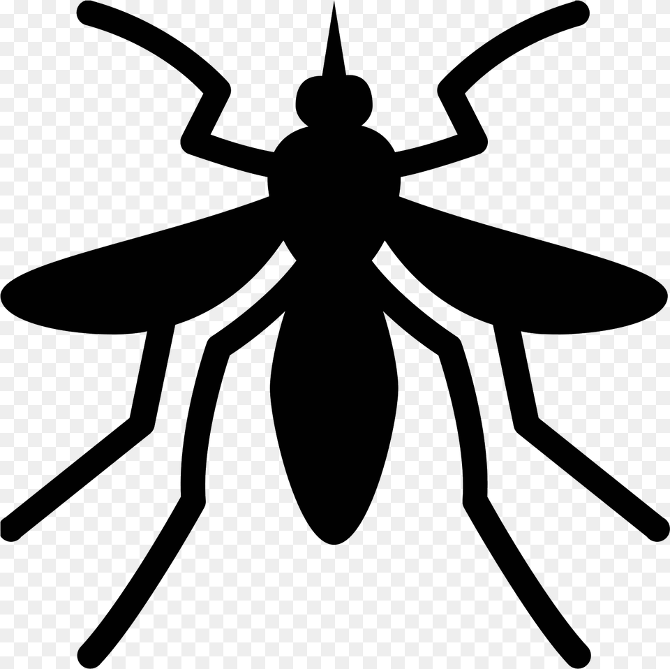 Transparent Cartoons Vector Mosquito Yellow Fever, Gray Png Image