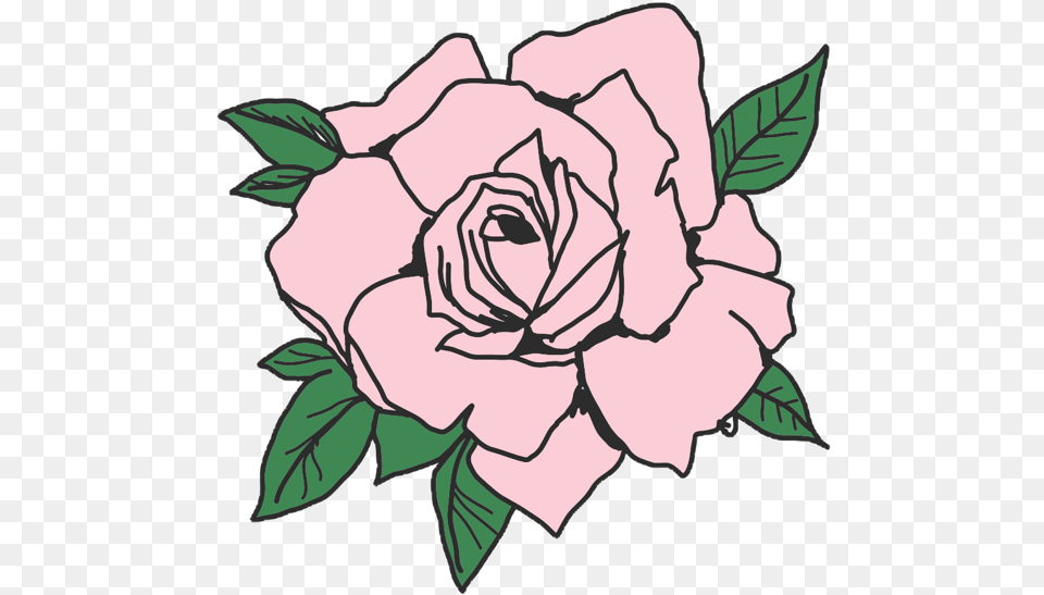 Image Transparent Tattoo Overlay, Flower, Plant, Rose, Baby Png