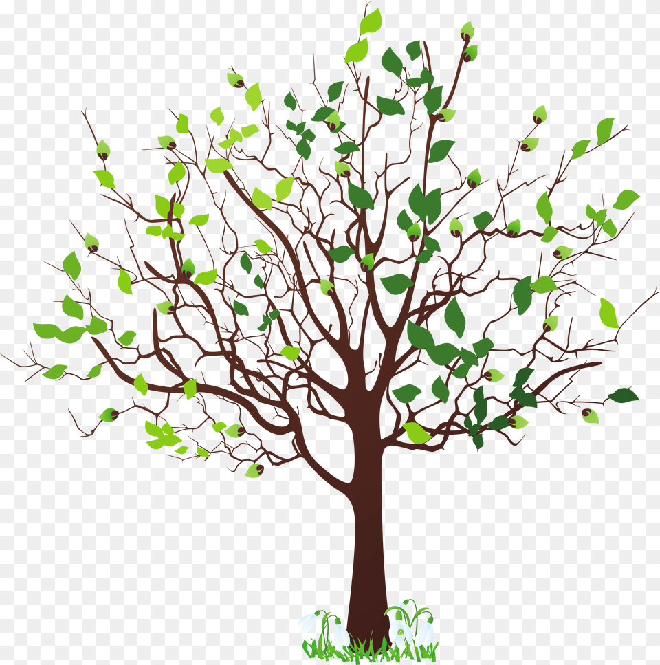Image Tree, Plant, Art, Oak, Sycamore Free Transparent Png
