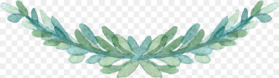Watercolor Green Leaf, Plant, Herbal, Herbs, Accessories Png Image