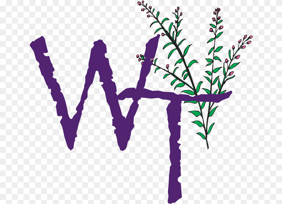 Willow Tree Clipart Full Size Clipart Willow Tree, Purple, Plant, Art, Flower Png Image
