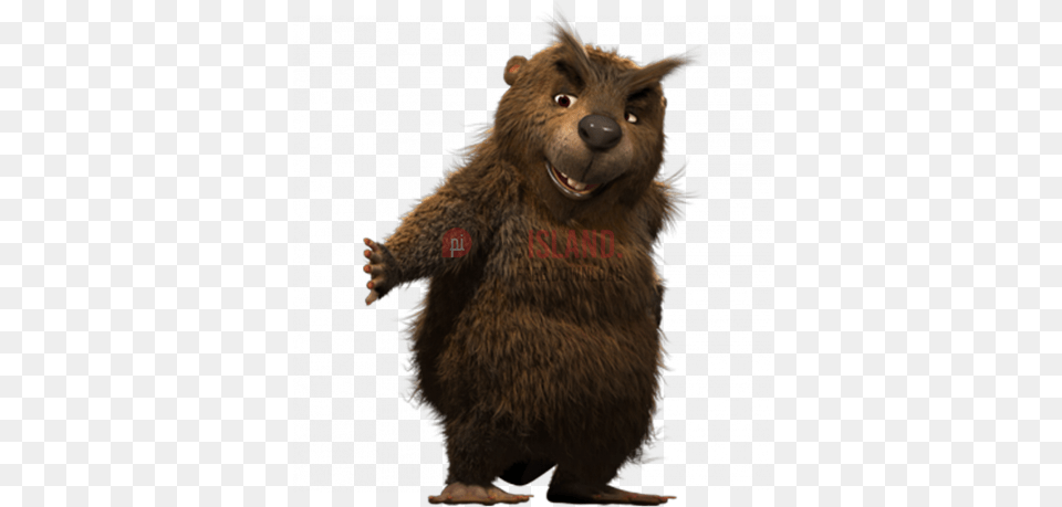 Image With Transparent Background Beaver, Animal, Mammal, Bear, Wildlife Png