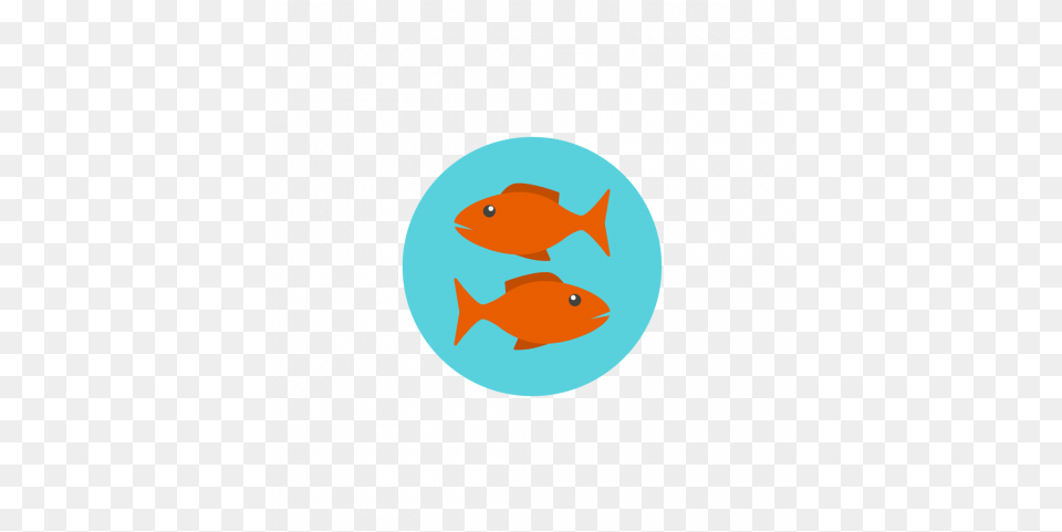 With Transparent Background Cartoon Fish, Animal, Sea Life, Goldfish Png Image