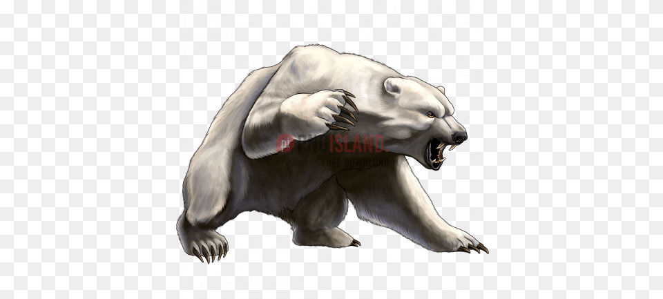 Image With Transparent Background Polar Bear Angry Drawing, Animal, Bird, Wildlife, Mammal Free Png Download