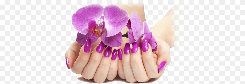 Image With Background Background Nails, Nail, Body Part, Flower, Hand Free Transparent Png