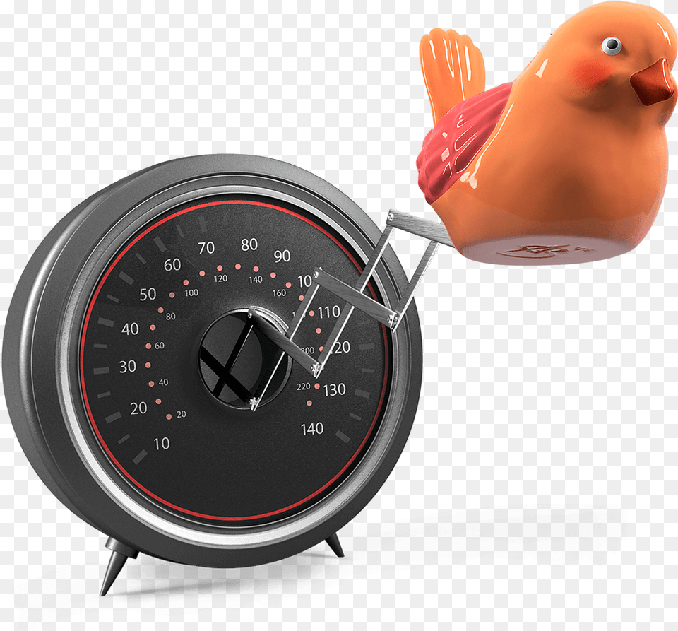 Imagem Ilustrativa De Um Velocmetro Com Cuco Gauge, Animal, Bird, Tachometer Png