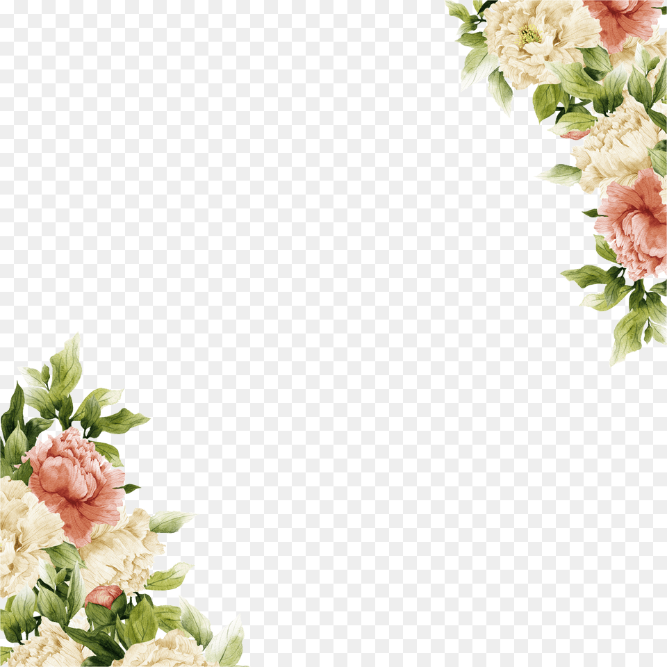 Imagem Quadrado Em, Carnation, Plant, Flower, Flower Arrangement Free Transparent Png