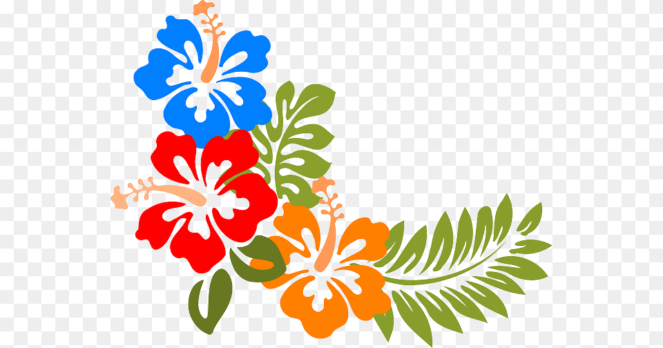 Imagem Relacionada Black And White Hawaiian Flower, Plant, Art, Floral Design, Graphics Png Image