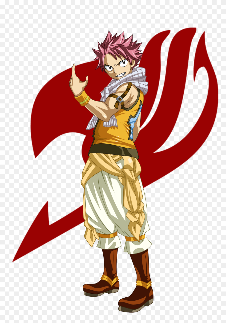 Imagem Relacionada Natsu Dragneel, Book, Comics, Publication, Adult Free Png Download