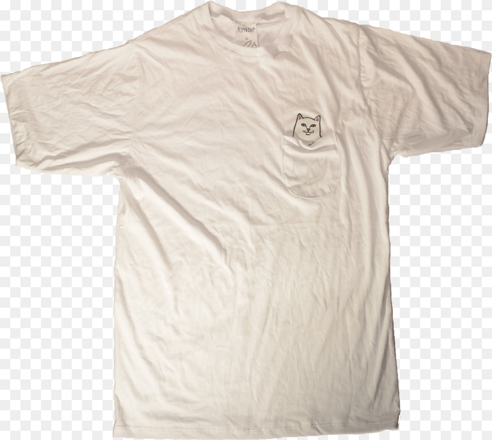 Imagen Active Shirt, Clothing, T-shirt Png
