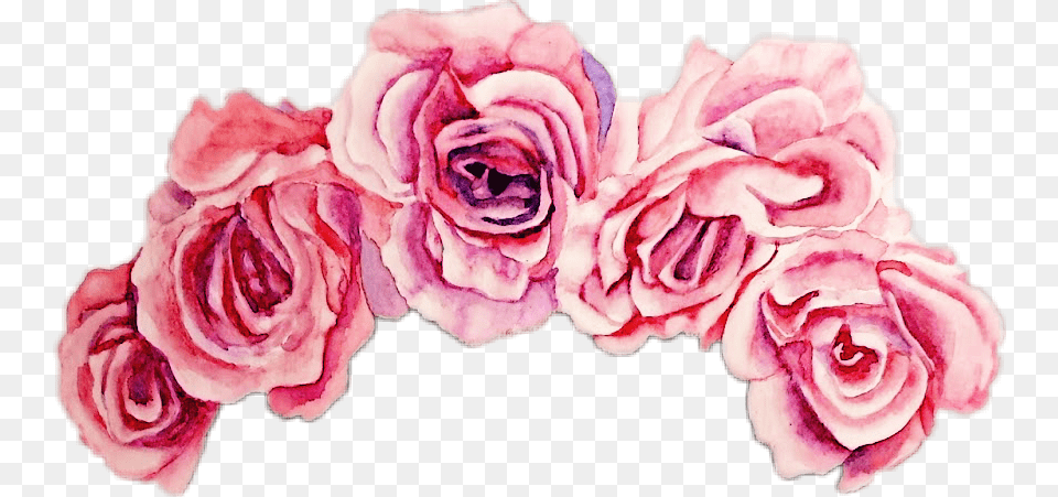 Imagen De Adorno De Rosas, Flower, Petal, Plant, Rose Free Transparent Png