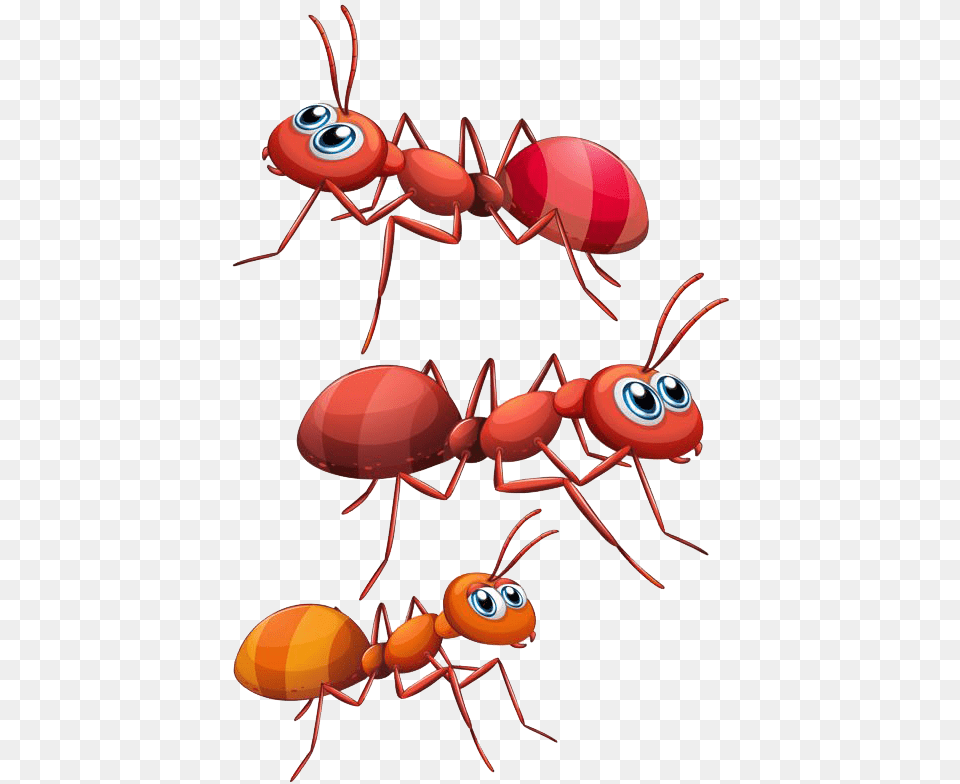 Imagen De Hormigas Animadas, Animal, Ant, Insect, Invertebrate Free Png