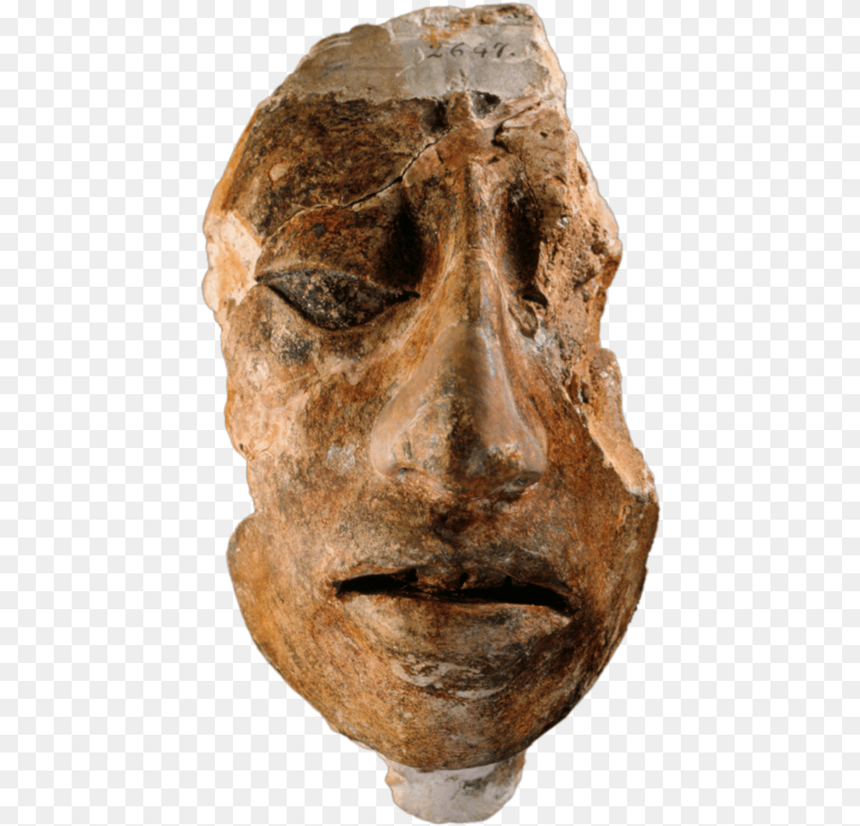 Imagen Education, Archaeology, Face, Head, Person Png Image