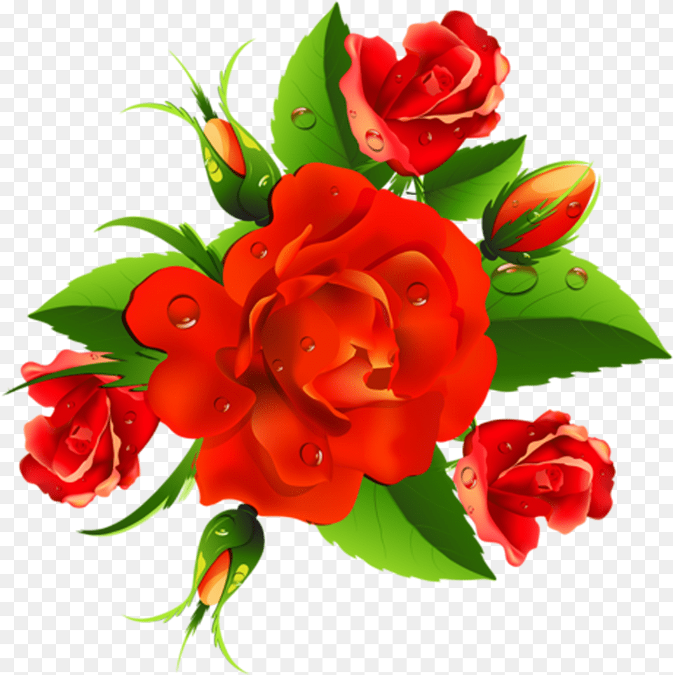 Imagen Flores Im Genes Flores Rojas, Art, Flower, Flower Arrangement, Flower Bouquet Png Image