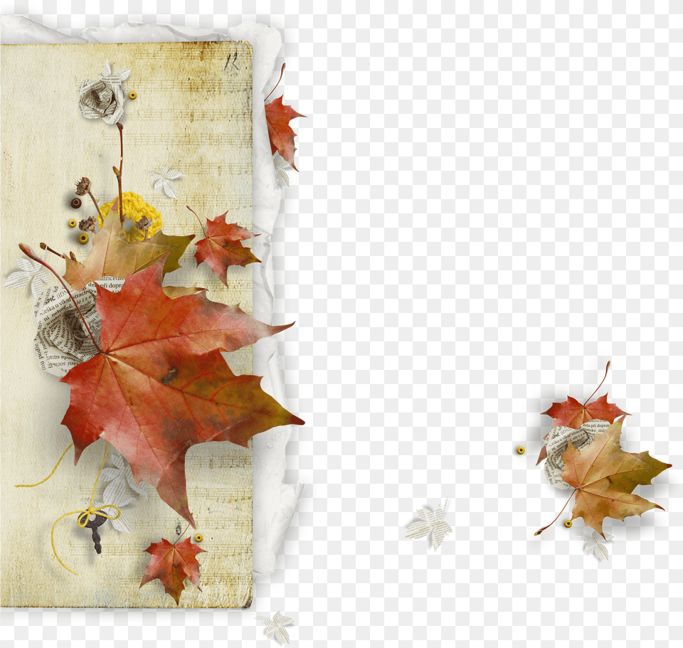 Imagen Fondo Transparente Powerpoint Autumn Gif, Leaf, Maple, Plant, Tree Png