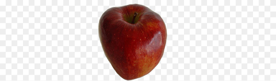 Imagen Imagen Real De Manzana Mcintosh, Apple, Food, Fruit, Plant Free Transparent Png