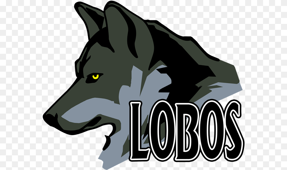 Imagen Lobos Con Su Nombre, Animal, Mammal, Wolf, Person Free Png