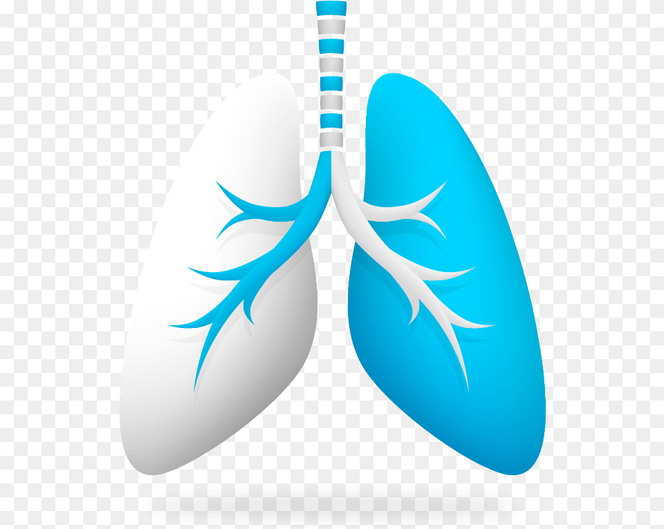 Imagen Pulmon En 3d Ways To Achieve Healthy Lung, Racket, Nature, Outdoors, Sea Free Png Download