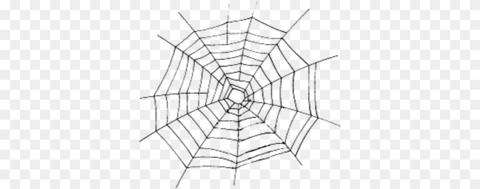 Imagen Spider Web Vector Eps, Spider Web Free Transparent Png