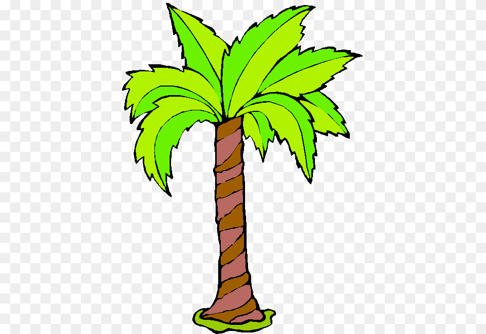 Imagene De Palmeras, Leaf, Palm Tree, Plant, Tree Png