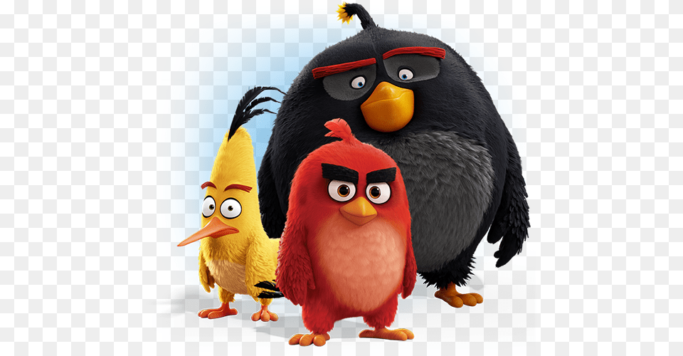 Imagenes Angry Birds Personajes De Angry Bird, Animal, Beak Free Transparent Png