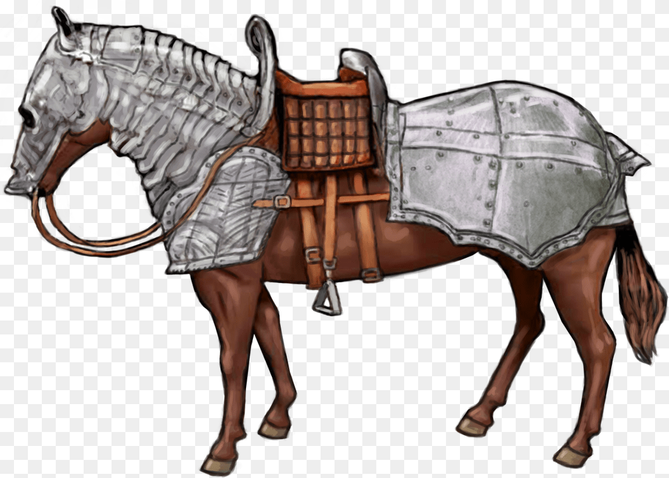 Imagenes De Caballos De Guerra, Adult, Person, Woman, Female Png