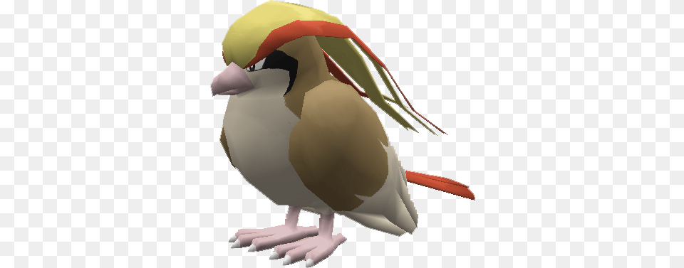 Imagenes De Pidgeot Pixelmon, Animal, Beak, Bird, Finch Free Png Download