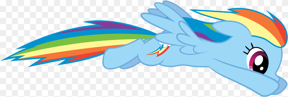 Imagenes De Rainbow Dash, Animal, Fish, Sea Life, Shark Free Png