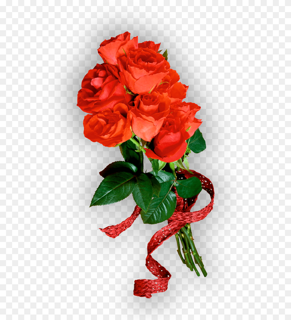 Imagenes De Un Ramo De Rosas Rojas, Flower, Flower Arrangement, Flower Bouquet, Plant Png