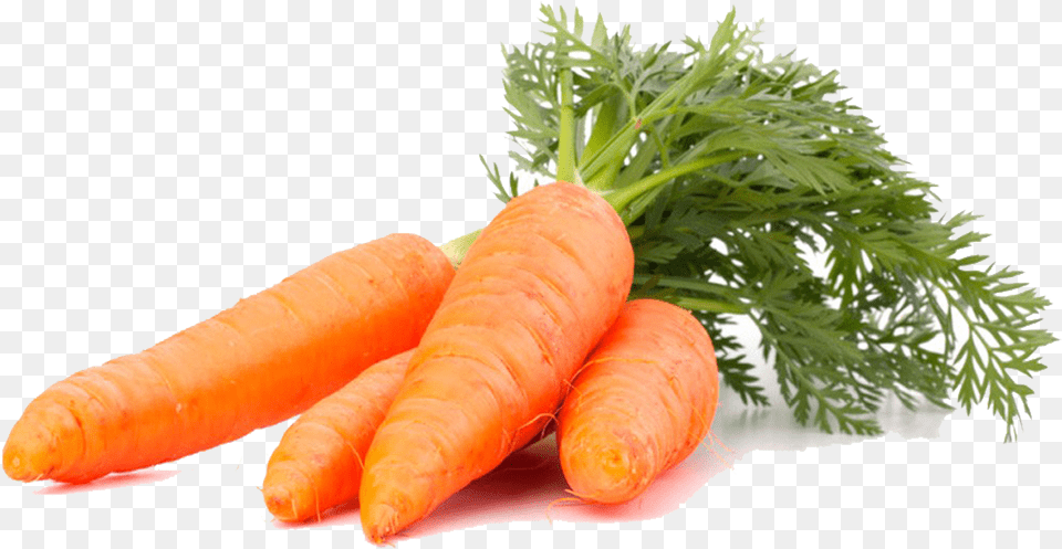 Imagenes De Zanahoria Imagenes De Zanahorias En, Carrot, Food, Plant, Produce Free Png Download