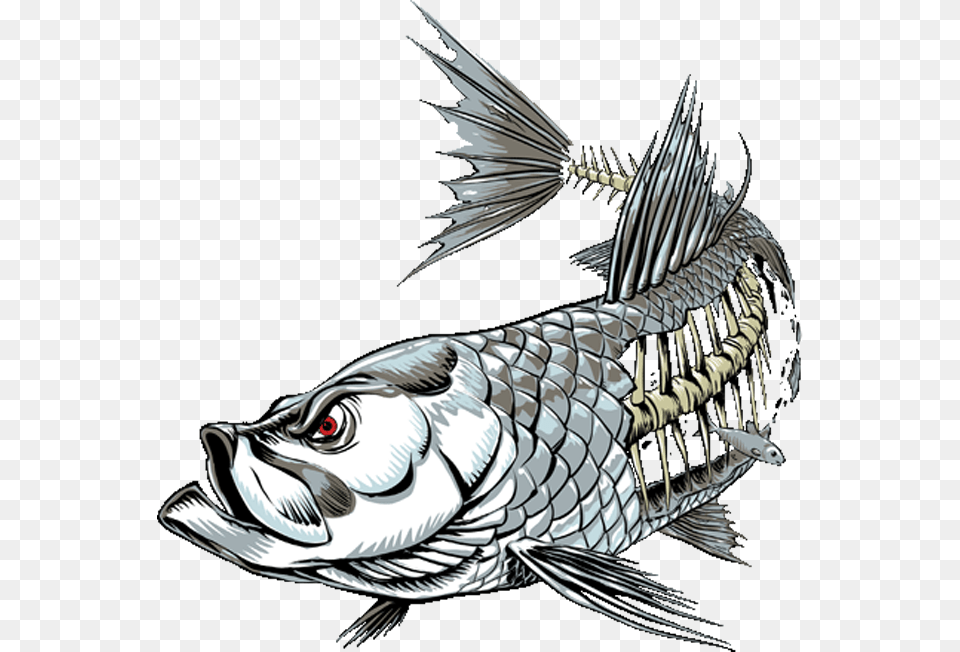 Imagenes Fish Skinz Decais, Animal, Food, Mullet Fish, Sea Life Png