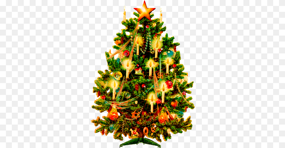 Imagenes Gif De Arboles Navidad Con Victorian Era Christmas Trees, Plant, Tree, Christmas Decorations, Festival Png Image