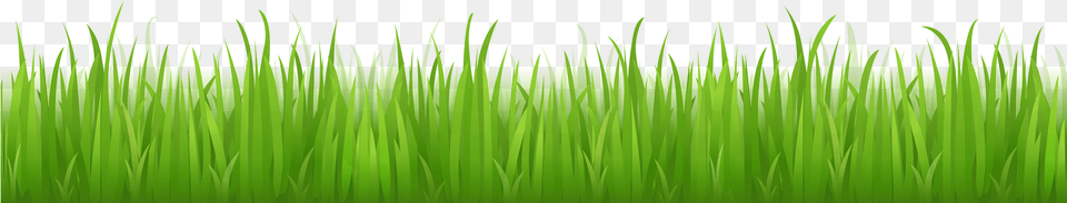 Imagenes Grass Vector Green, Lawn, Plant, Potted Plant Free Png