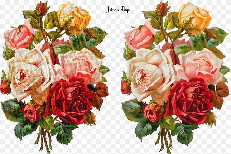 Imagenes Para Decoupage Vintage Para Pantalla Hd 2 Mother39s Day Roses Throw Blanket, Rose, Plant, Flower, Flower Arrangement Free Transparent Png