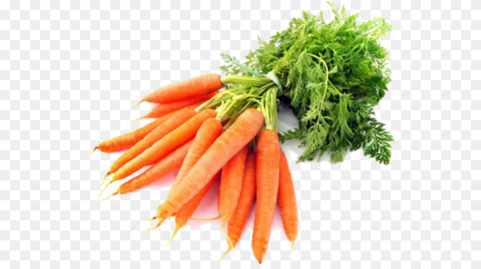 Imagens De Cenoura, Carrot, Food, Plant, Produce Png