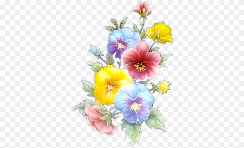 Imagens De Flores Flower, Petal, Plant, Flower Arrangement, Flower Bouquet Free Transparent Png
