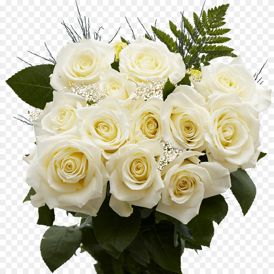 Imagens De Flores Magnificas, Flower, Flower Arrangement, Flower Bouquet, Plant Free Png