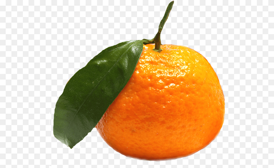 Imagens De Frutas, Citrus Fruit, Food, Fruit, Orange Free Png