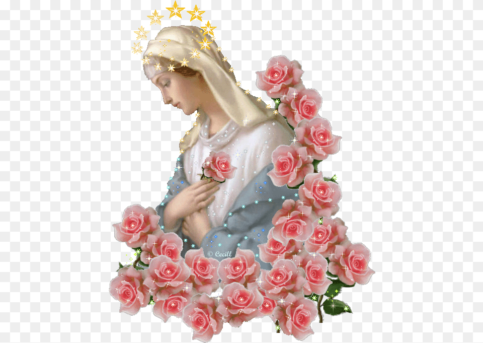 Imagens De Nossa Senhora Gif, Flower Bouquet, Rose, Plant, Flower Free Transparent Png