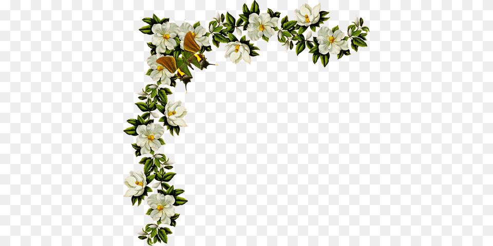 Imagens Para Decoupagem, Flower, Flower Arrangement, Plant, Geranium Png Image